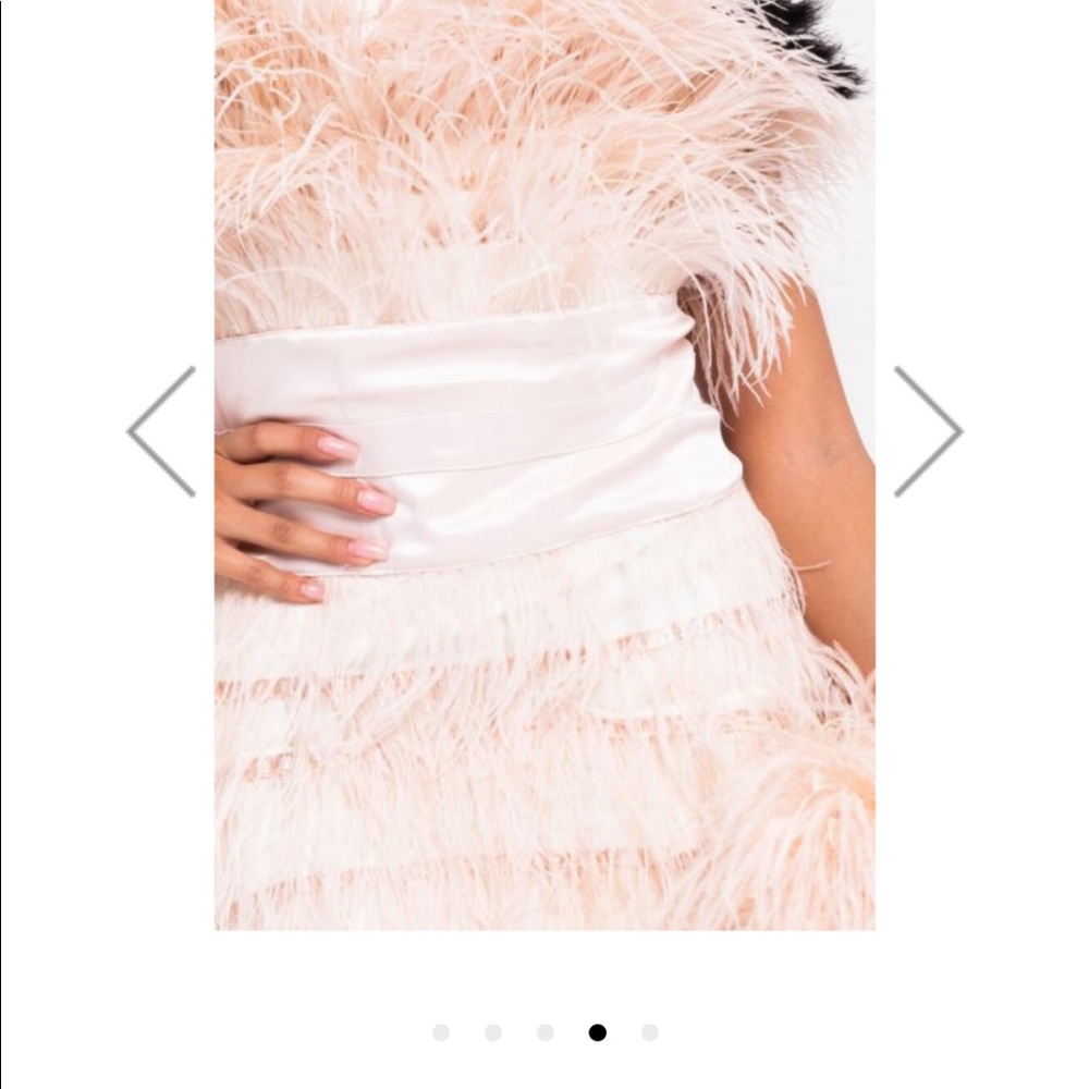 Stunning Dress feathers of Love